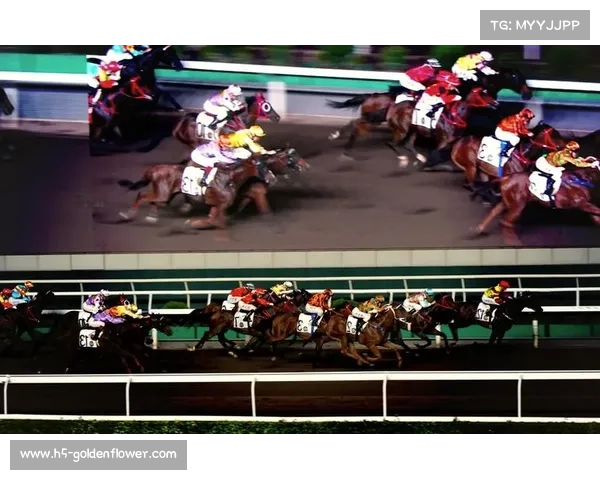 路线设计师李明哲：如何平衡马匹福利与赛道竞技性设计挑战