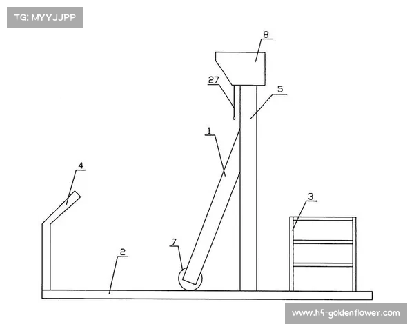 中国创新设计速度攀岩起跑器专利问世有效缩短反应时间0.02秒 中国创新设计速度攀岩起跑器专利问世有效缩短反应时间0.02秒