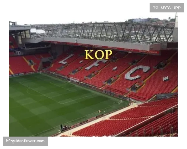 “美国迈阿密自由公园球场（迈阿密国际新主场）建设进度达75%”